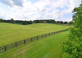 Hockley Valley, 50 Acres - Country Homes for sale and Luxury Real Estate in Caledon and King City including Horse Farms and Property for sale near Toronto