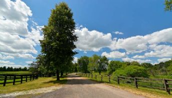 Farm Lane - Country homes for sale and luxury real estate including horse farms and property in the Caledon and King City areas near Toronto
