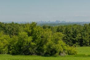 Views to South - Country homes for sale and luxury real estate including horse farms and property in the Caledon and King City areas near Toronto