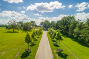 Long Paved Drive - Country homes for sale and luxury real estate including horse farms and property in the Caledon and King City areas near Toronto