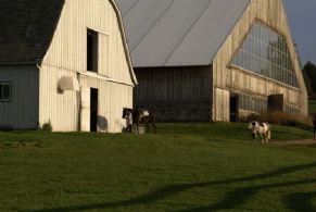 Event Centre & Horse Farm, King, Ontario - Country homes for sale and luxury real estate including horse farms and property in the Caledon and King City areas near Toronto
